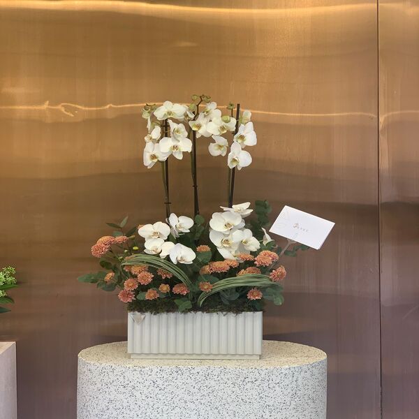 fcd87bd3_WhatsApp Image 2026-04-28 at 1.12.58 PM (1).jpeg